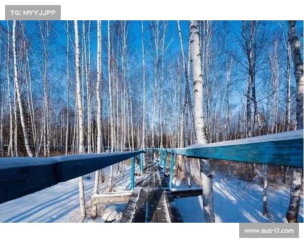 塔河赛期森林音乐会以白桦树皮纪念牌为主题展现自然之美与文化传承
